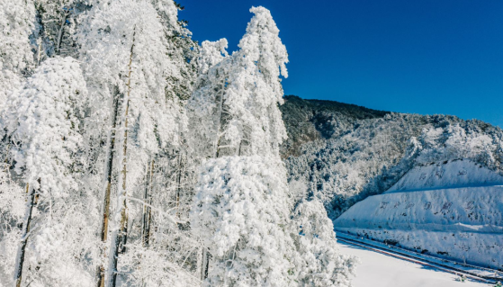 大明山滑雪10